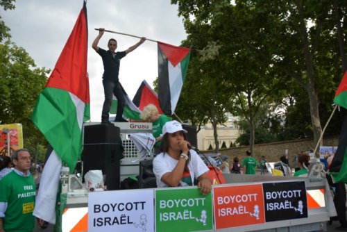 mus_sur_camion_drapeaux_et_boycott.jpg