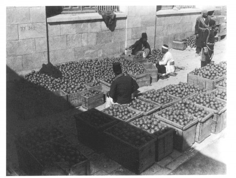 oranges_palestiniennes_jaffa.jpg