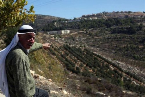 palestinien_empe_che_d_acce_der_a_ses_oliviers.jpg
