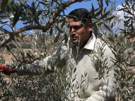 palestinien_et_olivier-2.jpg