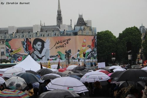 parapluies_vue_d_en_haut.jpg