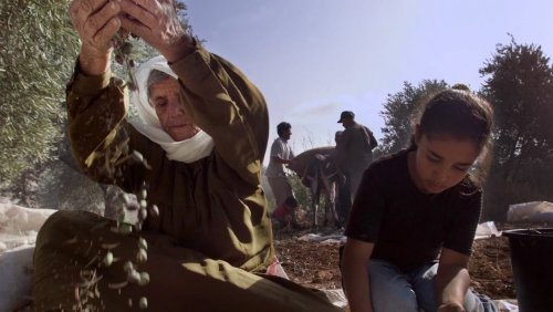 paysanne_palestinienne.jpg