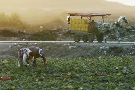 pesticides.jpg