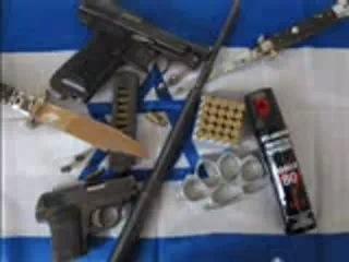photo_armes_ldj.jpg