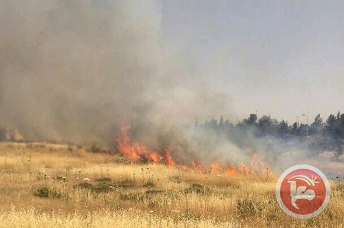 plaine_en_feu.jpg