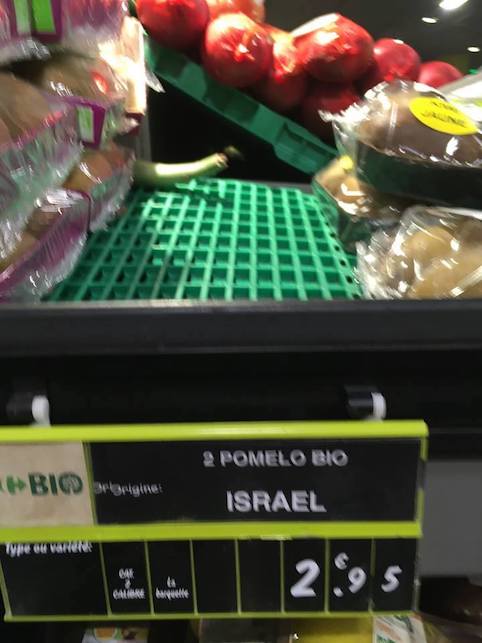 pomelos_bio_israel.jpg