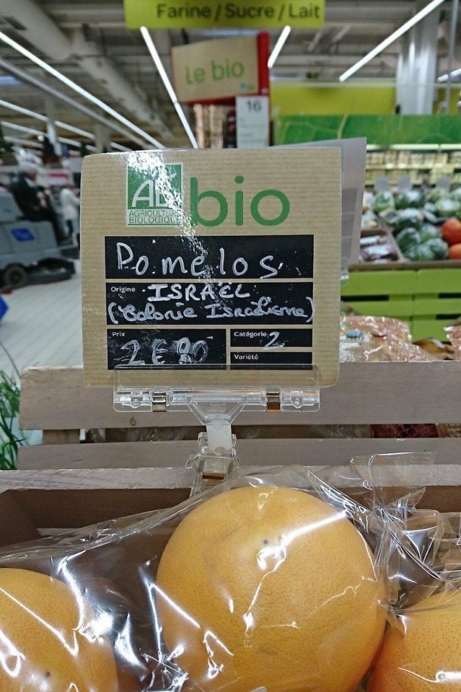 pomelos_colonie_israe_lienne.jpg