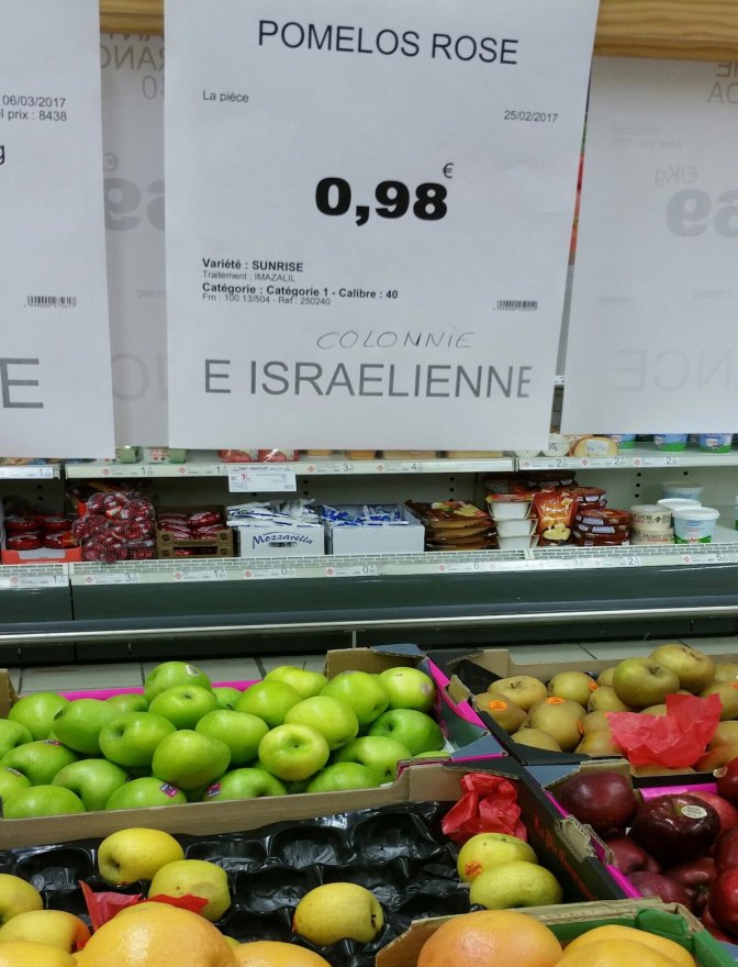 pomelos_colonnie_israelienne_.jpg