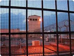 prison_israel-2.jpg