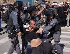 sit_in_golan.jpg