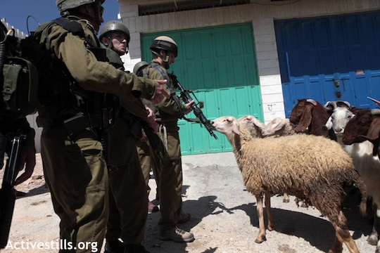 soldats_terrorisent_moutons.jpg