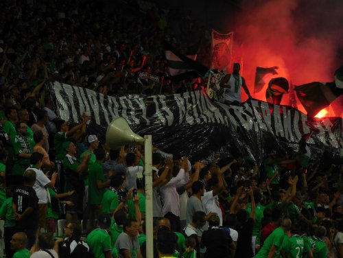 stupidity_beitar.jpg