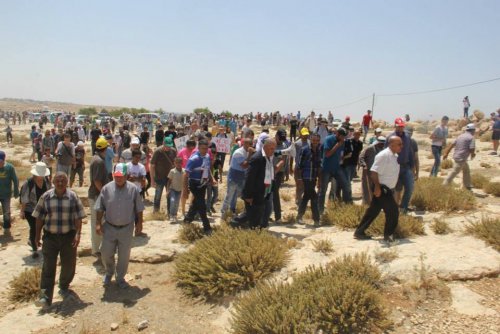 susiya_manif_3.jpg