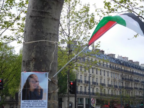 tmar_alon_repu_arbre.jpg