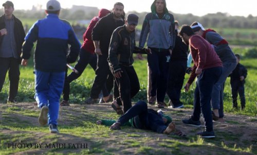 vendredi_gaza_8_fe_vrier.jpg