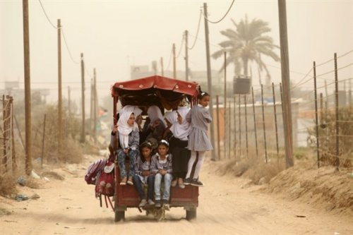 e_coliers_en_rickshaw_a_gaza.jpg