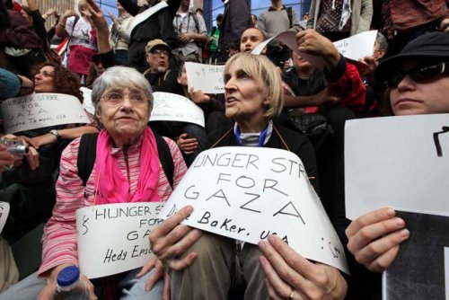 hedy_epstein_greve_de_la_faim_gaza.jpg