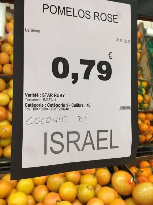 pomelos_colonie_israel.jpg