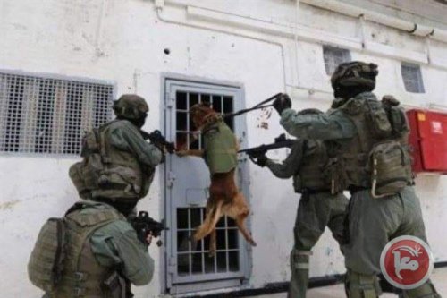 raid_ofer_prison_chien.jpg