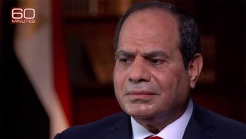 sissi_sur_cbs.jpg