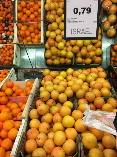 supe_rette_nimes_pomelos_israel_avant_d_e_te_colonie.jpg