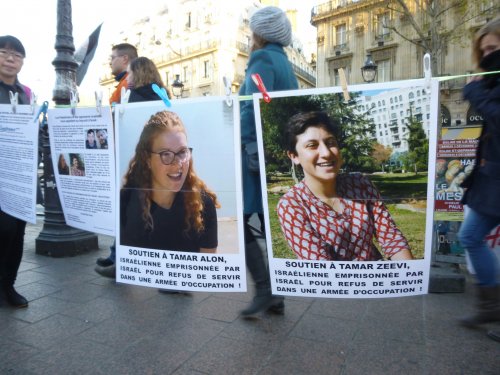 tamar_bis_pinces.jpg