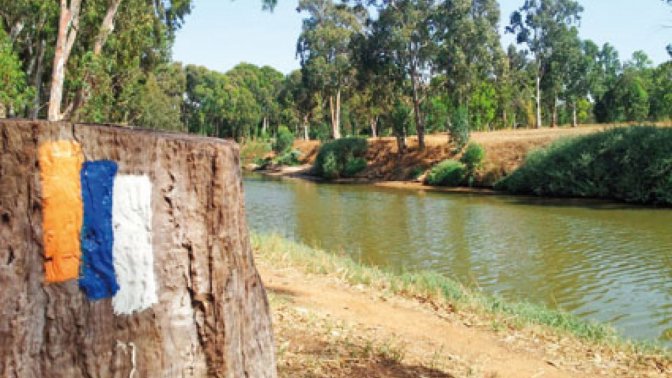 yarkon_river-2.jpg